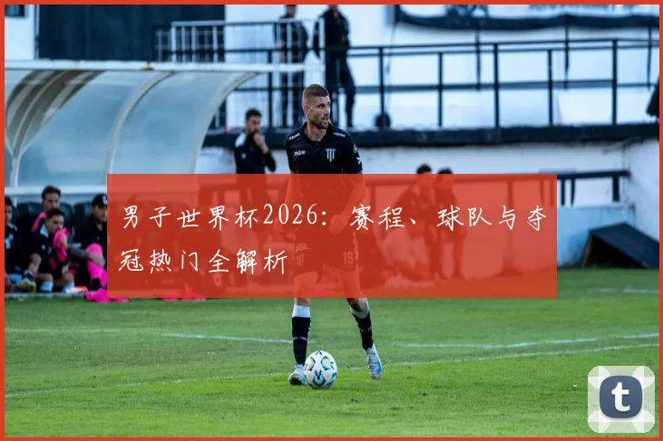 男子世界杯2026：赛程、球队与夺冠热门全解析