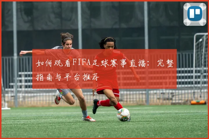 如何观看FIFA足球赛事直播：完整指南与平台推荐