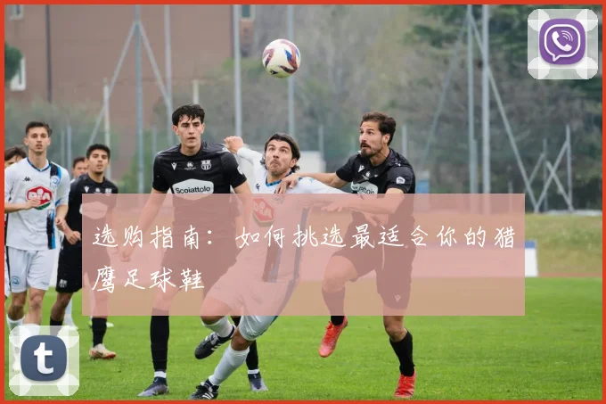 选购指南：如何挑选最适合你的猎鹰足球鞋